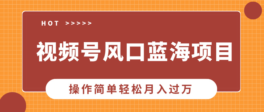 视频号风口蓝海项目，中老年人的流量密码，操作简单轻松月入过万-新时光资源网