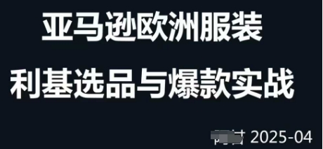 跨境电商选品案例24-25年，聚焦跨境电商选品策略与运营优化，助力卖家挖掘蓝海市场-新时光资源网