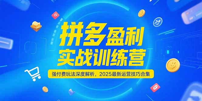 拼多多盈利实战训练营，强付费玩法深度解析，2025运营技巧合集-更新6月-新时光资源网