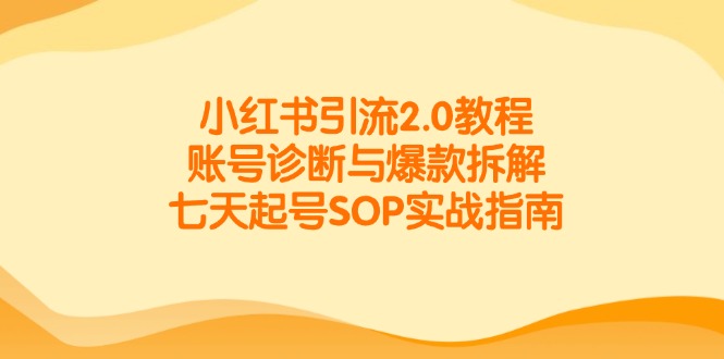 小红书引流2.0教程，账号诊断与爆款拆解，七天起号SOP实战指南-新时光资源网