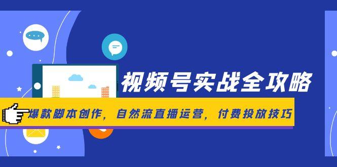 视频号实战全攻略，爆款脚本创作，自然流直播运营，付费投放技巧-新时光资源网