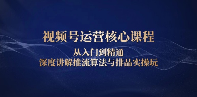 视频号运营核心课程，从入门到精通，深度讲解推流算法与排品实操玩-新时光资源网