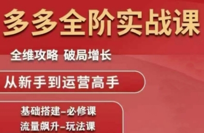 拼多多全阶实战课程，全维攻略，破局增长，从新手到运营高手-新时光资源网