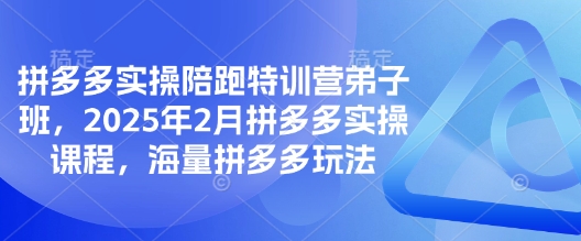 拼多多实操陪跑特训营弟子班，2025年2月拼多多实操课程，海量拼多多玩法-新时光资源网