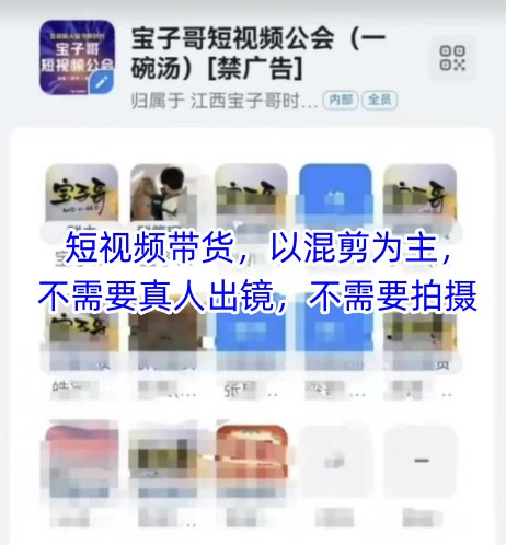 宝子哥头部团队短视频带货，以混剪为主，不需要真人出镜，不需要拍摄【更新】-新时光资源网