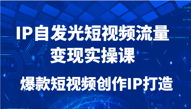 IP自发光短视频流量变现实操课，爆款短视频创作IP打造-新时光资源网
