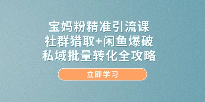 宝妈粉精准引流课，社群猎取+闲鱼爆破，私域批量转化全攻略-新时光资源网