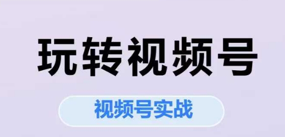 玩转视频号，视频号实战系列课-新时光资源网