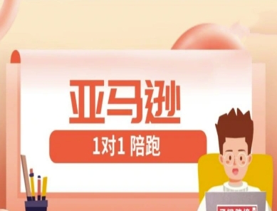 亚马逊1对1陪跑课(FBA/FBM精铺)跨境亚马逊教程-新时光资源网