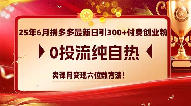 25年6月拼多多最新日引300+付费创业粉，0投流纯自热 卖课月变现六位数方法-新时光资源网