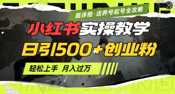 2月小红书最新日引500+创业粉实操教学【超详细】小白轻松上手，月入1W+，附小红书养号起号SOP-新时光资源网