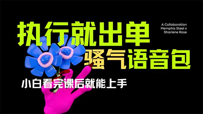 爆火全网的开车导航骚气语音包,只要执行就出单，小白看完课程就能实操…-新时光资源网