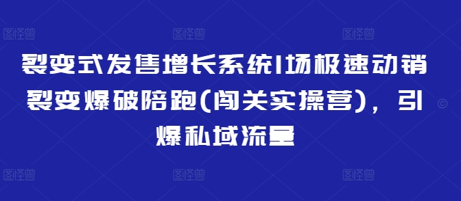 裂变式发售增长系统1场极速动销裂变爆破陪跑(闯关实操营)，引爆私域流量-新时光资源网