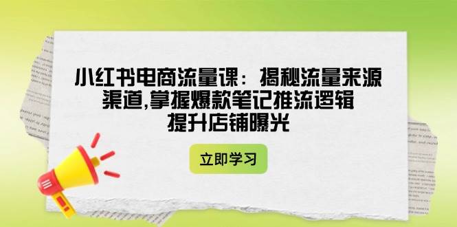 小红书电商流量课：揭秘流量来源渠道,掌握爆款笔记推流逻辑,提升店铺曝光-新时光资源网