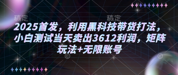 2025首发，利用黑科技带货打法，小白测试当天卖出3612利润，矩阵玩法+无限账号【揭秘】-新时光资源网