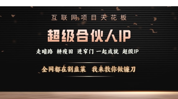 互联网项目天花板，超级合伙人IP，全网都在割韭菜，我来教你做镰刀【仅揭秘】-新时光资源网