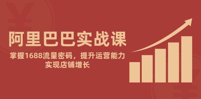阿里巴巴实战课：掌握1688流量密码，提升运营能力，实现店铺增长-新时光资源网