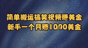 简单搬运搞笑视频挣美金，新手一个月入1k美金-新时光资源网
